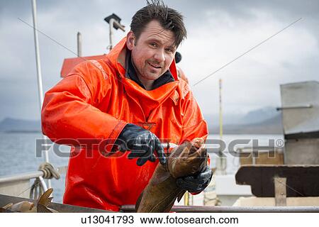 Fisherman gutting fish View Large Photo Image Stock Image - Fisherman gutting fish. Fotosearch