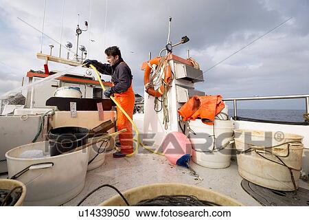 Fisherman hosing down fishing boat View Large Photo Image Stock Image - Fisherman hosing down fishing boat. Fotosearch