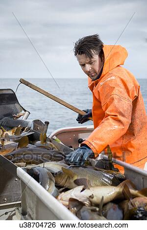 Stock Photograph - Fisherman on boat with fish. Fotosearch
