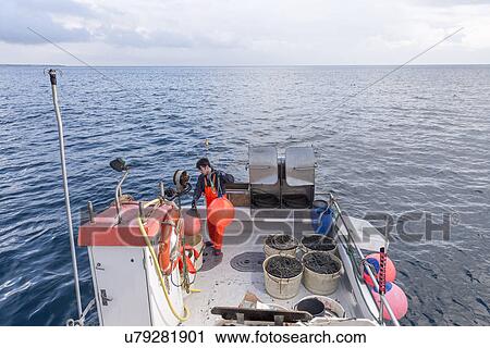 Fisherman preparing boat View Large Photo Image Stock Image - Fisherman preparing boat. Fotosearch