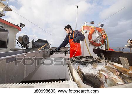Stock Image - Fisherman puilling up fishing line on fishing boat. Fotosearch