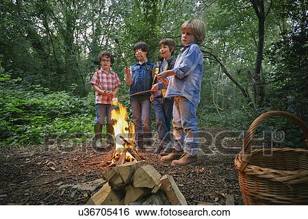 Stock Photograph - Four boys toasting marshmallows on campfire in forest. Fotosearch