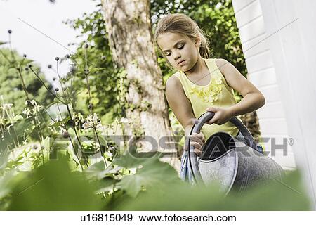 Girl concentrating whilst watering plants in garden View Large Photo Image Stock Photo - Girl concentrating whilst watering plants in garden. Fotosearch
