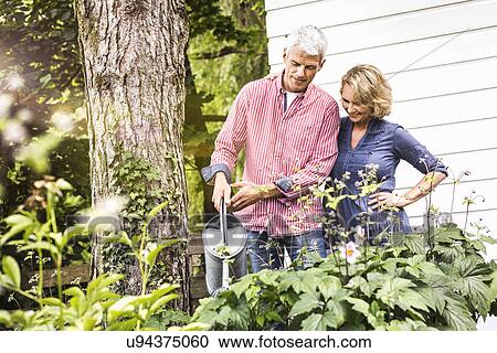 Husband and wife watering plants in garden View Large Photo Image Stock Image - Husband and wife watering plants in garden. Fotosearch
