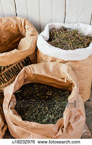 Stock Photograph - "Local herbs, Lofoten, Norway". Fotosearch