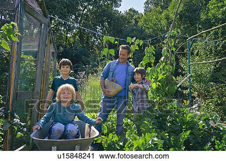 Stock Image - Man and three boys riding in wheelbarrow on allotment. Fotosearch