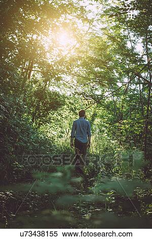 Man walking in forest View Large Photo Image Stock Photography - Man walking in forest. Fotosearch