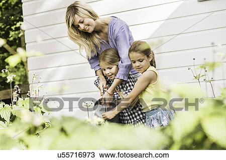 Mid adult woman and two daughters watering plants in garden View Large Photo Image Stock Image - Mid adult woman and two daughters watering plants in garden. Fotosearch