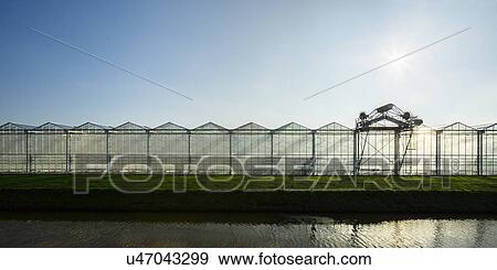 Panoramic view of canal in front of row of greenhouses View Large Photo Image Stock Photo - Panoramic view of canal in front of row of greenhouses. Fotosearch
