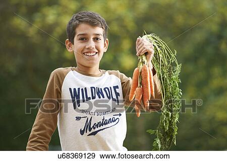 Portrait of boy in garden holding up a bunch of carrots View Large Photo Image Stock Photo - Portrait of boy in garden holding up a bunch of carrots. Fotosearch