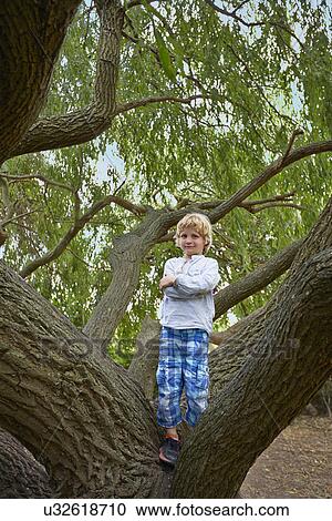 Stock Image - Portrait of boy standing in forest tree. Fotosearch