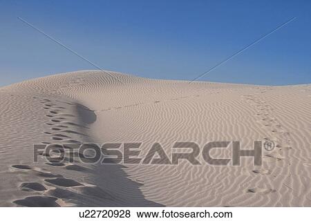 "Sand dune and footprints, Cagliari, Sardinia, Italy" View Large Photo Image Stock Photo - "Sand dune and footprints, Cagliari, Sardinia, Italy". Fotosearch