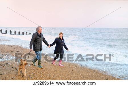Picture - Senior couple walking dog on beach. Fotosearch