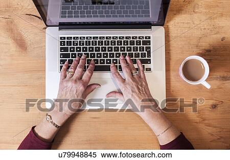 "Senior woman using laptop, focus on hands" View Large Photo Image Stock Photography - "Senior woman using laptop, focus on hands". Fotosearch