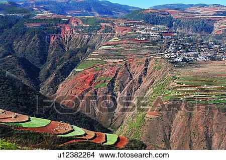 "Terraced fields, Yunnan, China. " View Large Photo Image Picture - "Terraced fields, Yunnan, China. ". Fotosearch
