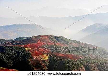 "Terraced fields, Yunnan, China. " View Large Photo Image Stock Image - "Terraced fields, Yunnan, China. ". Fotosearch