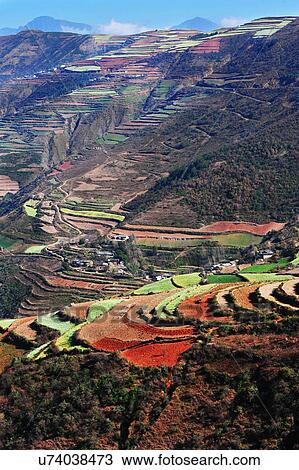 "Terraced fields, Yunnan, China. " View Large Photo Image Stock Image - "Terraced fields, Yunnan, China. ". Fotosearch