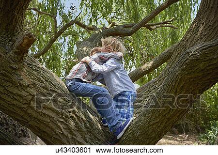 Two brothers hugging in forest tree View Large Photo Image Stock Image - Two brothers hugging in forest tree. Fotosearch