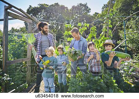 Two men and sons holding marrows and rhubarb on allotment View Large Photo Image Stock Photo - Two men and sons holding marrows and rhubarb on allotment. Fotosearch
