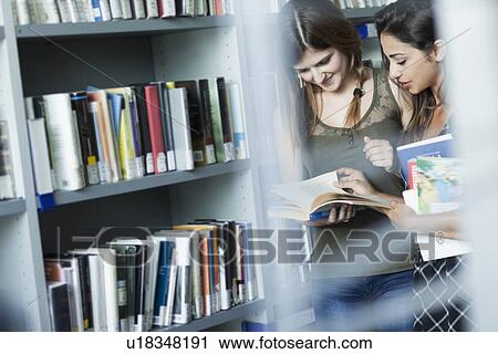 Women studying in the library View Large Photo Image Stock Image - Women studying in the library. Fotosearch