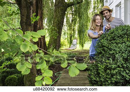 Young couple in garden pruning bush View Large Photo Image Stock Image - Young couple in garden pruning bush. Fotosearch