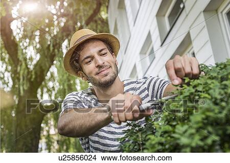 Picture - Young man in garden pruning bush. Fotosearch