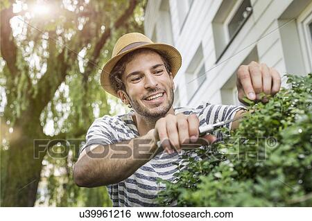 Young man pruning bush in garden View Large Photo Image Stock Photograph - Young man pruning bush in garden. Fotosearch