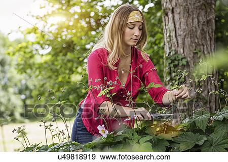 Stock Photo - Young woman cutting flowers in garden. Fotosearch