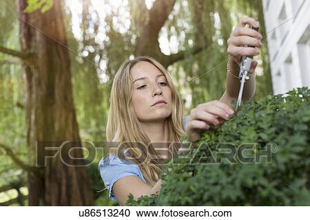 Stock Image - Young woman pruning bush in garden. Fotosearch