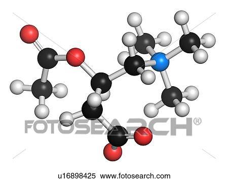 Stock Illustration - Acetylcarnitine nutritional supplement. Fotosearch