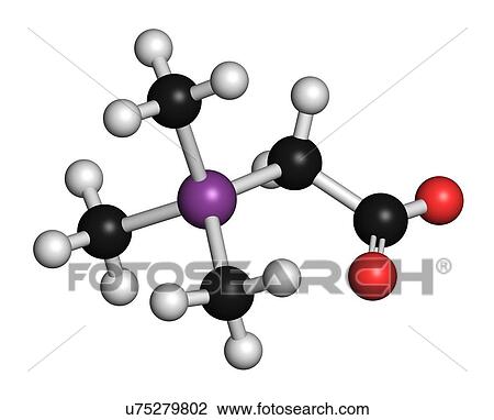 Arsenobetaine organoarsenic molecule View Large Illustration Drawing - Arsenobetaine organoarsenic molecule. Fotosearch