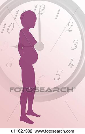 "Biological Clock, illustration" View Large Illustration Drawing - "Biological Clock, illustration". Fotosearch
