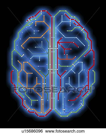 "Brain, network diagram" View Large Illustration Stock Illustration - "Brain, network diagram". Fotosearch