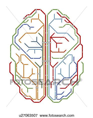 "Brain, network diagram" View Large Illustration Stock Illustration - "Brain, network diagram". Fotosearch