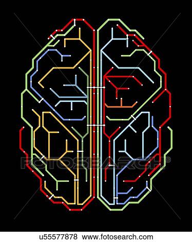 "Brain, network diagram" View Large Illustration Stock Illustration - "Brain, network diagram". Fotosearch