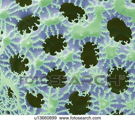 "Diatom detail, SEM" View Large Illustration Stock Illustration - "Diatom detail, SEM". Fotosearch