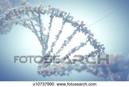Clipart - "DNA molecule, illustration". Fotosearch