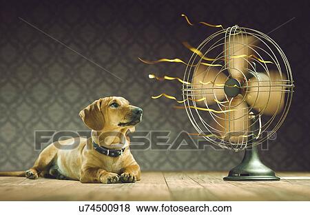 Stock Illustration - "Dog next to electric fan, illustration". Fotosearch