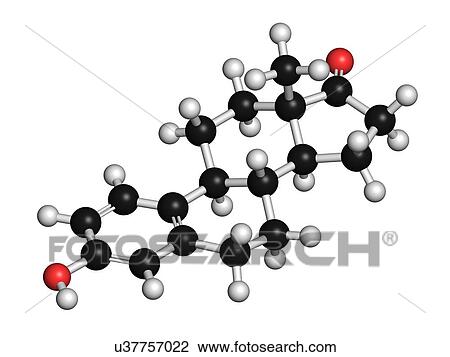 Estrone human estrogen hormone molecule View Large Illustration Drawing - Estrone human estrogen hormone molecule. Fotosearch
