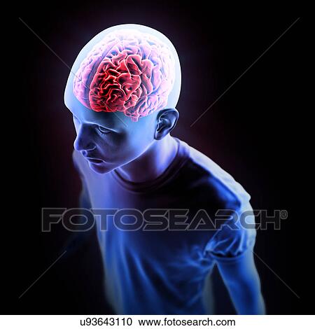 "Human brain, illustration" View Large Illustration Clipart - "Human brain, illustration". Fotosearch