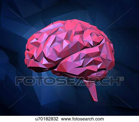 "Human brain, illustration" View Large Illustration Drawing - "Human brain, illustration". Fotosearch