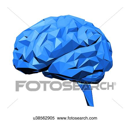 Stock Illustration - "Human brain, illustration". Fotosearch