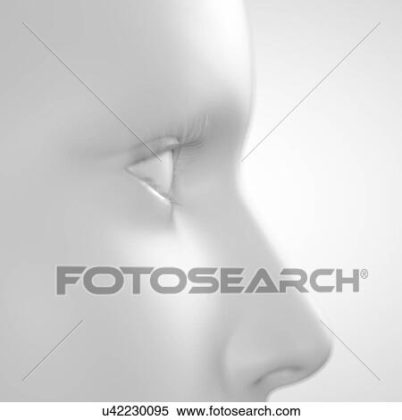 Stock Illustration - "Human face, illustration". Fotosearch
