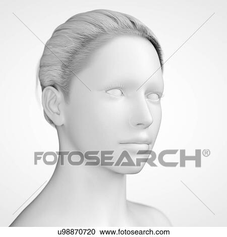 "Human head, illustration" View Large Illustration Clipart - "Human head, illustration". Fotosearch