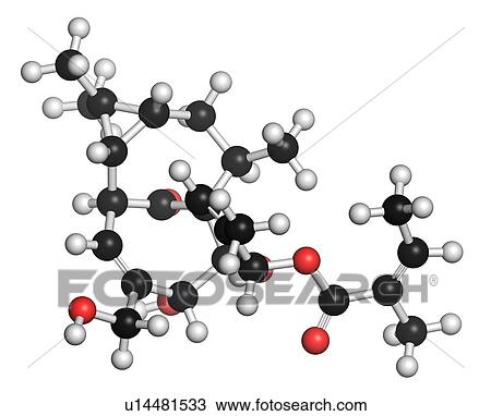Drawing - Ingenol mebutate actinic keratosis drug. Fotosearch