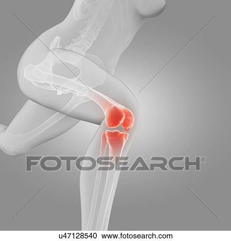 "Jogger with knee pain, illustration" View Large Illustration Clipart - "Jogger with knee pain, illustration". Fotosearch