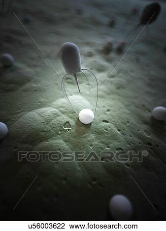 Drawing - "Nanobot, illustration". Fotosearch