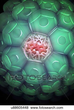 Stock Illustration - "Nanotechnology, illustration". Fotosearch