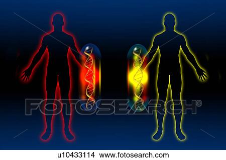 "Personalized Medication, illustration" View Large Illustration Stock Illustration - "Personalized Medication, illustration". Fotosearch