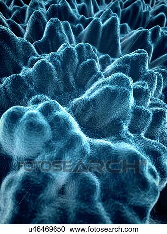 "Silicone, close up., illustration" View Large Illustration Clipart - "Silicone, close up., illustration". Fotosearch